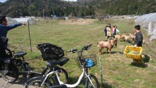 伊根の舟屋＆里山eバイクツアー（宿泊パック）