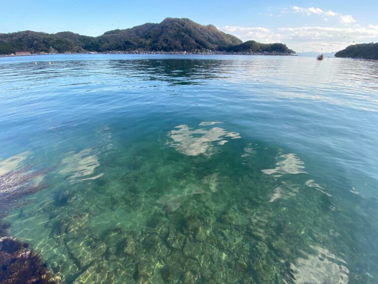 84645602_492831378279229_4100727580427026432_o