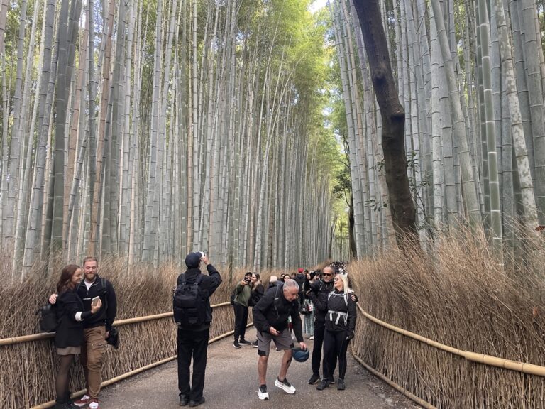 20EBCC6A-667E-456C-81F7-5FD74CA1B1EC_1_105_c