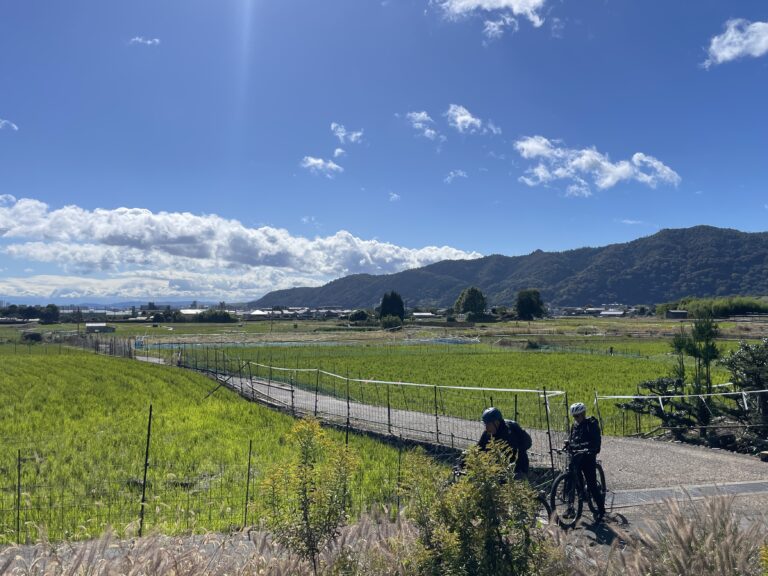 24DE1C4C-78D8-4F14-AD79-B259A259855C_1_201_a