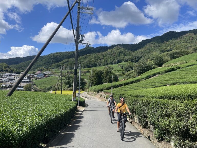 24F4217D-D3AC-4B9A-8EF9-A7722ACB1481_1_105_c