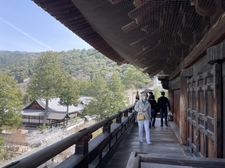 5092EB3B-7027-44D5-80E1-75A0D1149B0C_1_105_c