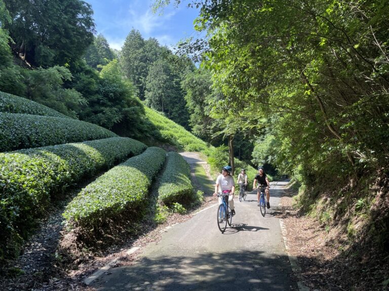 62C6F493-4156-4122-A123-DAFC54A1B416_1_105_c