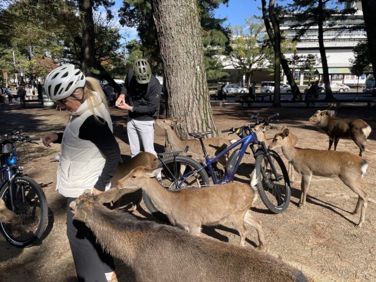 BE01322B-3E2A-46DF-BBF5-80270750E5E4_1_105_c