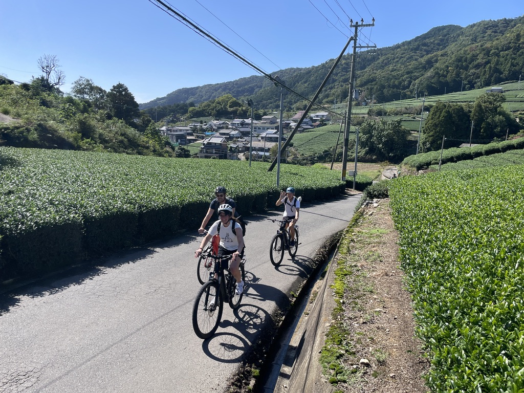 Uji Nara 1-Day Private Tour