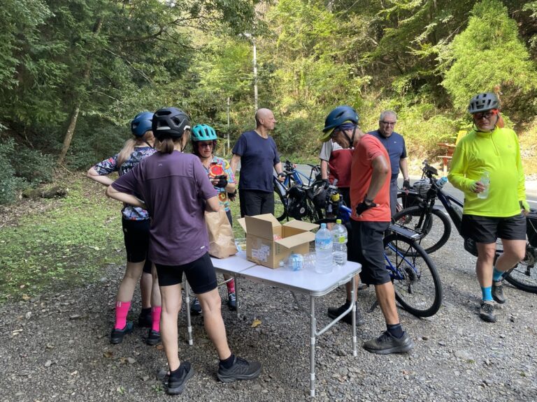 2DE4FA7A-1BC6-45D8-9013-CD03E60CCB5F_1_105_c