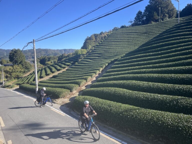 BC15E988-C4EF-4E4D-859C-41B2B9287444_1_105_c