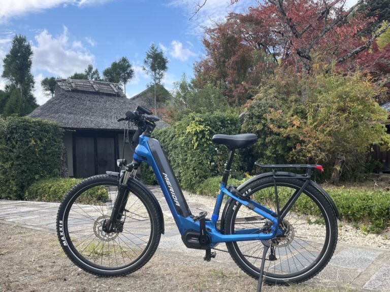 E6393026-8EC4-42B2-AEFD-69585622E550_1_105_c