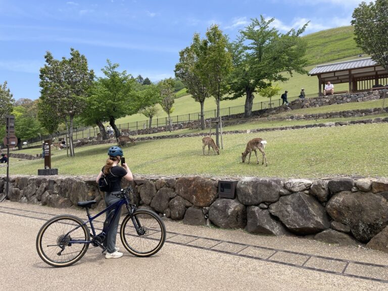 EA7E3F1D-4D86-410B-BFE7-73974CF78BB7_1_105_c