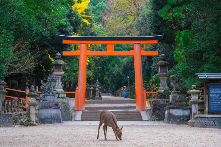 春日大社の鳥居と鹿　　