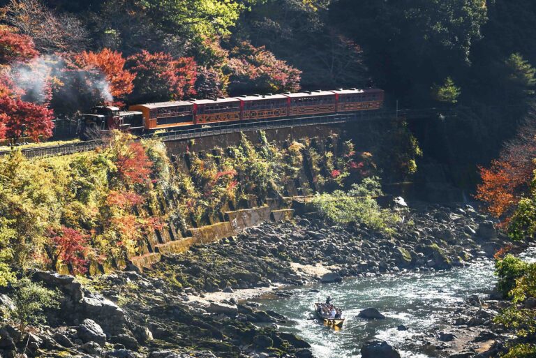 秋の保津峡を走る嵯峨野トロッコ列車と保津川下りの船