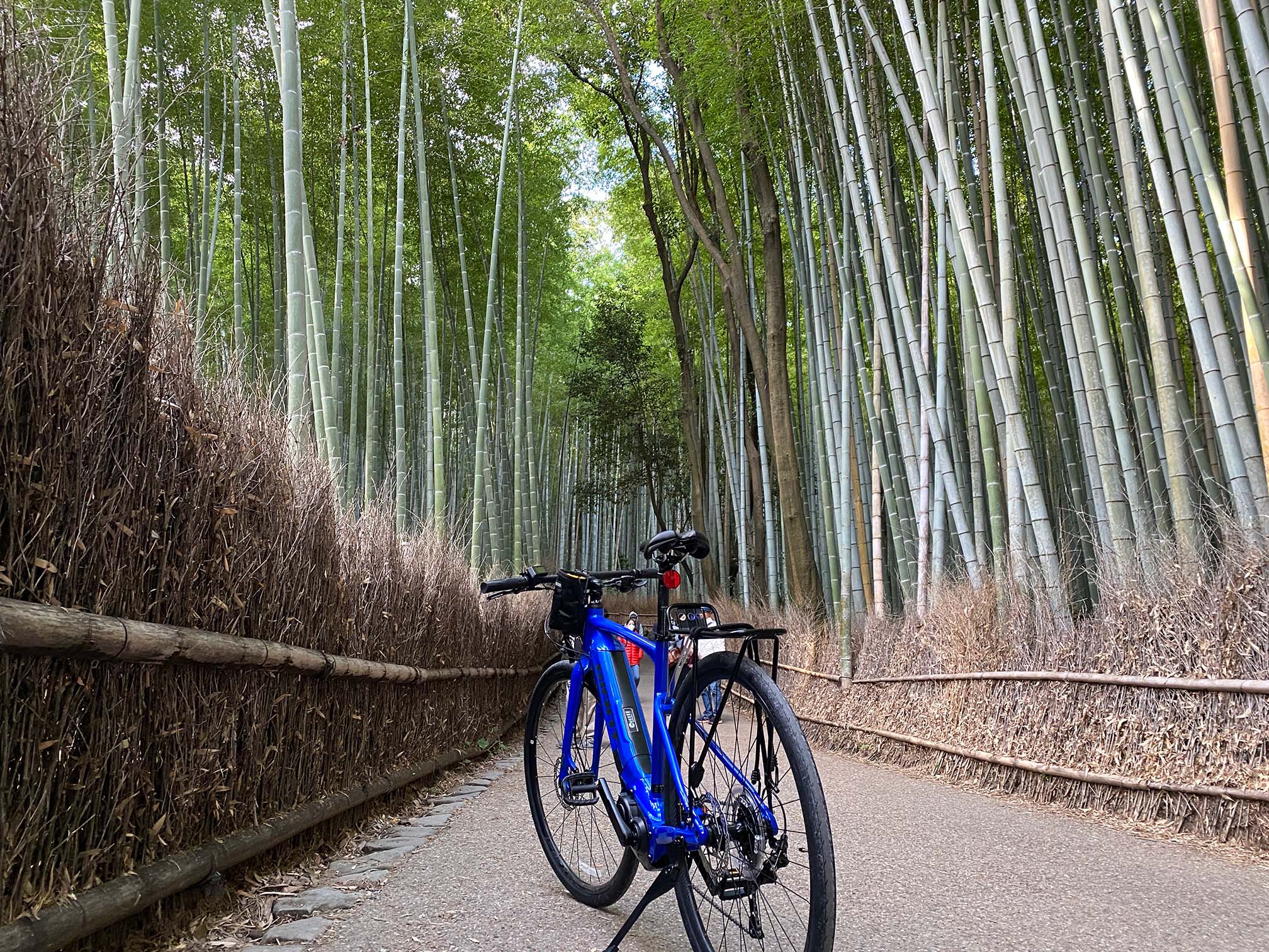 arashiyama