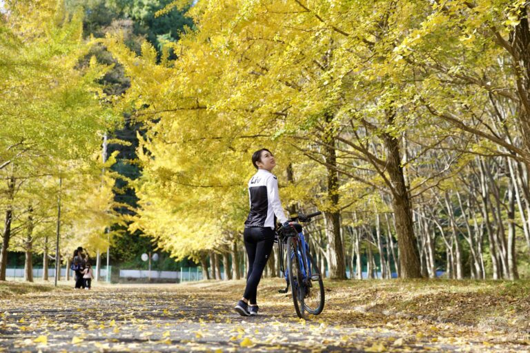 紅葉（いちょう）light